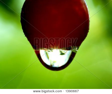 Drop