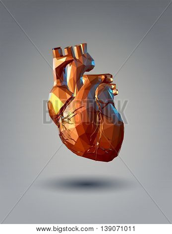 Low poly 3D human heart illustration on gray background