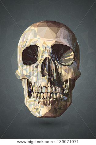 3D Skull low poly vector with graphic wireframe line on gray background