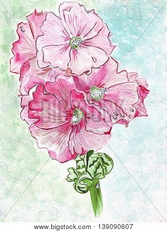Illustration young bell flowers with large bright colored flowers blossoming on a green stem