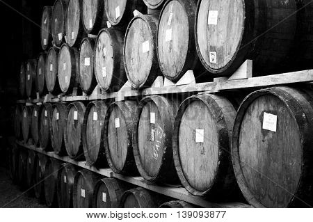 Wine barrels stacked in the old cellar of the winery.