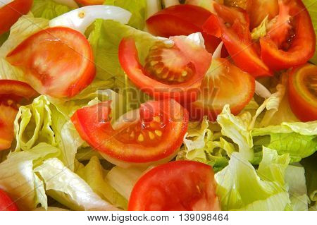 photo of green salad of tomato and lettuce
