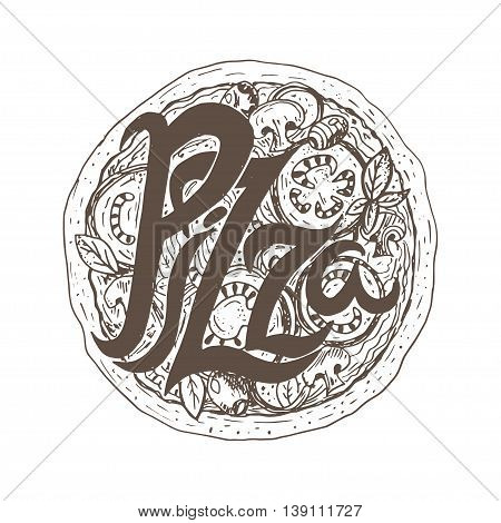 Illustration hand drawn delicious pizza with tomatoes mozzarella champignons oregano peppero nion and olives. Vector