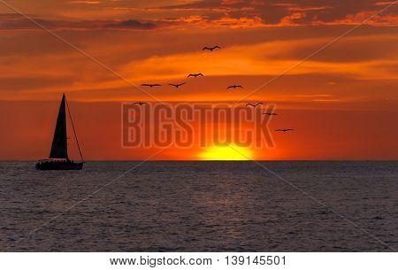 Ocean sunset sailing fantasy is a bright yellow sun setting against a vivid red sky as a sailboat sets on its journey as a flock of seabirds fly overhead.