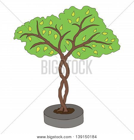 Green isolated vector young tree in flowerbed.
