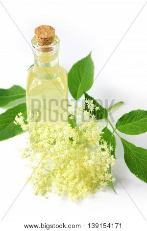 Sambucus nigra elderberry sirup on white background. Bottle of excellent syrup with flowers and leaves.