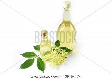 Sambucus nigra elderberry sirup on white background. Two bottle of excellent syrup with flowers and leaves.