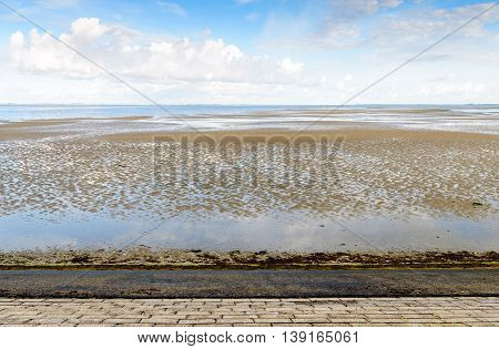 Dutch estuary at the base of an embankment and at low tide on an early morning in the summer season.