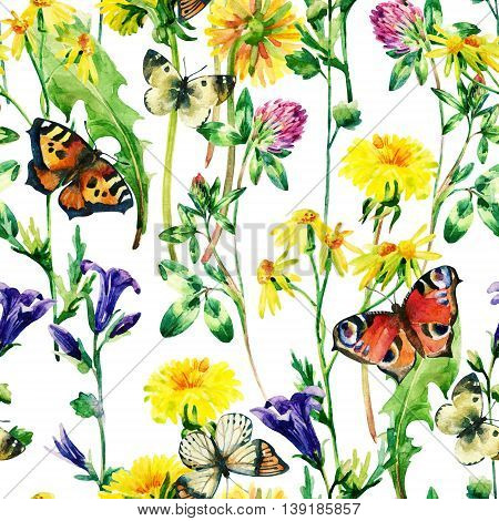 Meadow watercolor flowers and butterfly seamless pattern. Watercolor wild bellflowers dandelion daisy weeds and herbs background with butterfly. Hand painted natural illustration