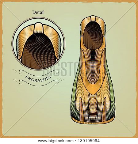 Clothes for swimmers. Vector Sportswear. Accessories for Water Sports. Vector Flippers. flippers for diving. Accessories for swimming an engraving style