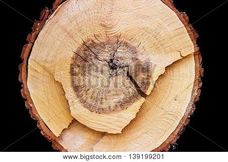 Close-up of a cross section of a tree stump showing aging circles on black background