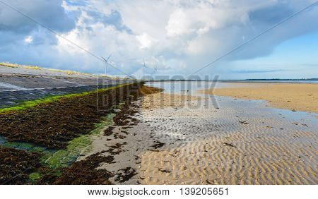 Long embankment along a Dutch estuary covered with brown seaweed and green algae. It is low tide on a cloudy summer day early in the morning.