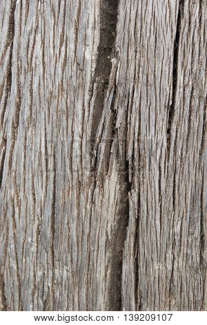 Old wood wall and floor close up