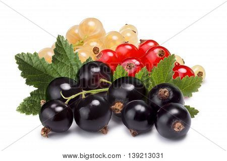 Clusters (bunches) Of Red,white And Black Currants Together