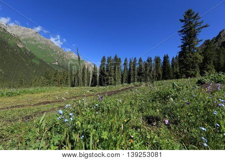 closeup of beautiful mountain landscape in xinjiang china
