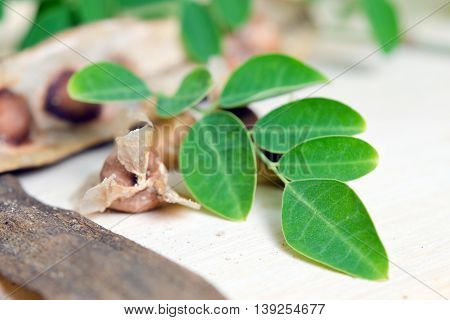 Moringa Leaf And Seed On Wood Background
