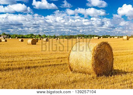 Stacks Of Straw - Bales Of Hay, Rolled Into Stacks