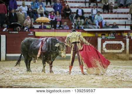 Jaen SPAIN - October 18 2008: The Spanish Bullfighter Sebastian Castella during a rainy afternoon bullfighting with the crutch in the Bullring of Jaen Spain