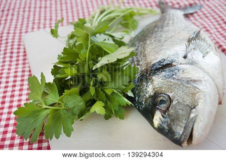 raw sea breams just caught with fresh parsley