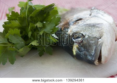 raw sea breams just caught with fresh parsley