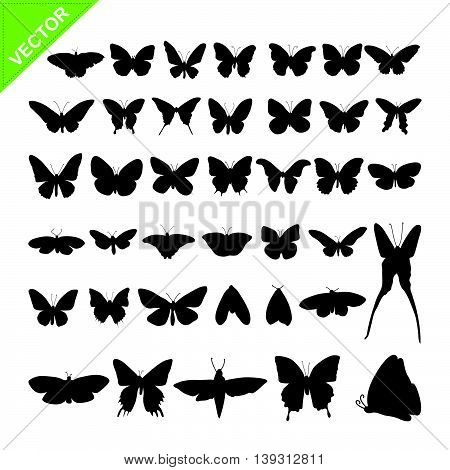 Butterflyl silhouettes vector on white color background