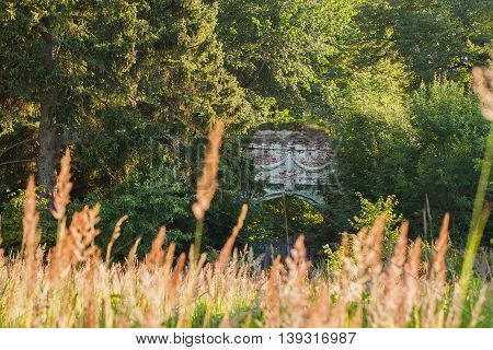 Surviving part of the arched brick entrance to the bas-reliefs in old ruined abandoned castle surrounded by overgrown trees and grass in the summer
