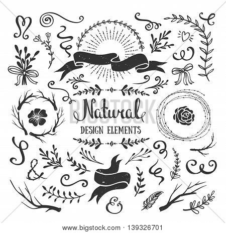 Vintage graphic set of flowers branches leafs and rustic design elements. Isolated floral shapes for crafting bouquets frames borders. Vector illustration