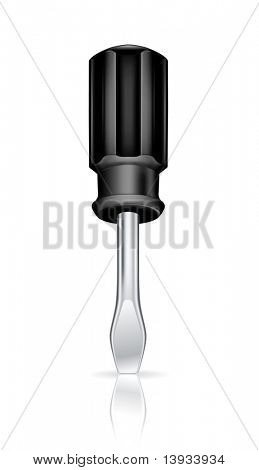 Schroevendraaier, vector