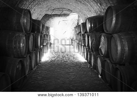 Wine barrels stacked in the old cellar of the winery. Balck and white