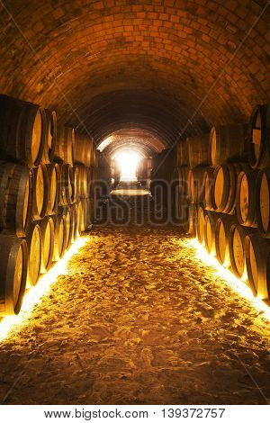 Wine barrels stacked in the old cellar of the winery.