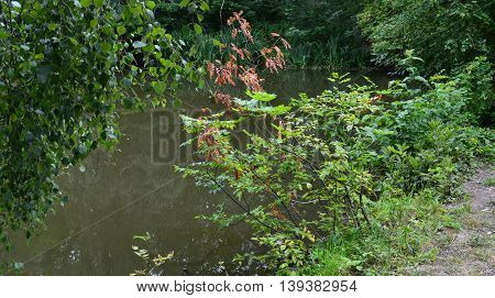 Reserve Teberda, Karachay-Cherkessia Republic, Russia. Photo taken on: July 28 Sunday, 2013