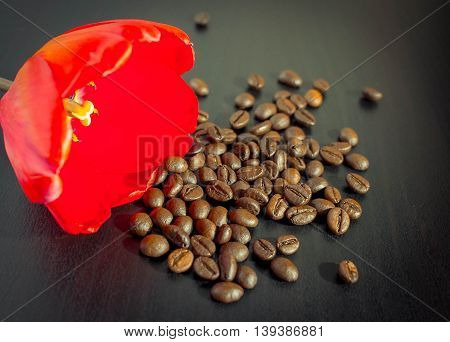 Red flower and many coffee beans On the table