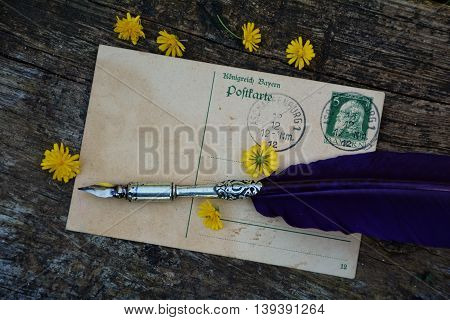 old blank vintage postcard with old stamp is on old wood with yellow flowers and nib