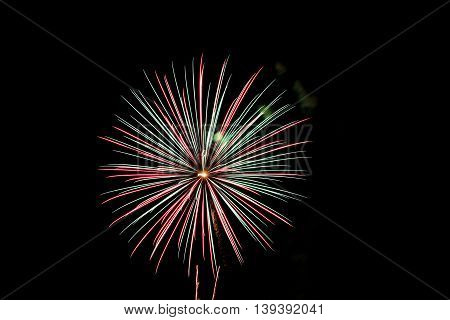 Best way to end a picnic is with fireworks