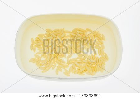 Cucumber seeds soaked in small bowl before planting