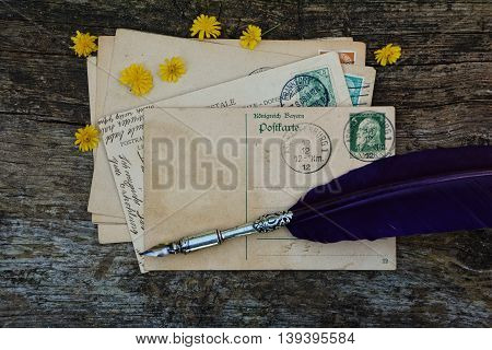 old blank vintage postcard with old stamp is on old wood with yellow flowers and nib
