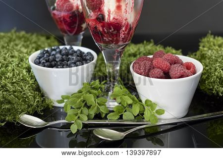 Fruits in white bowls with silver spoons, and ice cream in glass. Ice cream with raspberries, blueberries and raspberries syrup stays on mirror table with moss and berries bushes as decoration.