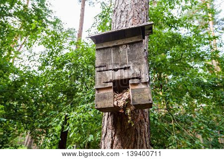 a handmade birdtable box in a wood