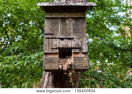 a handmade birdtable box in a wood