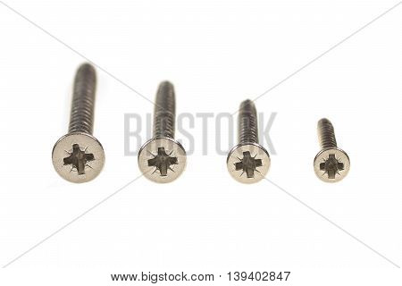Philips Head Screws In Various Lengths