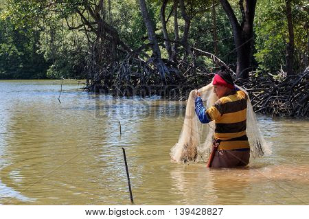 Tuaran, Sabah, Malaysia - June 7, 2016: Unidentified fisherman catch fish by throwing net.