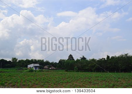 rural view in Vietnam with house and field