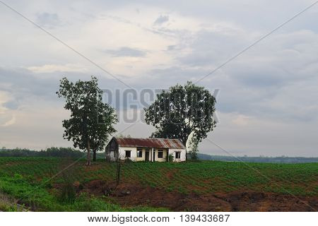 rural view in Vietnam with lonely house on the hill and field