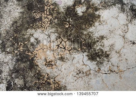 background textured surface cement have moss nature from rain water