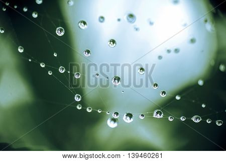 Raindrops on the spider web with reflection background with shallow dof macro close up photo