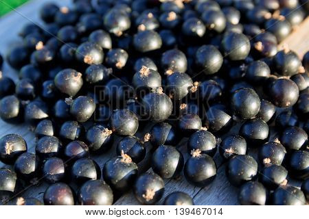 Heap of black currents on wooden bench