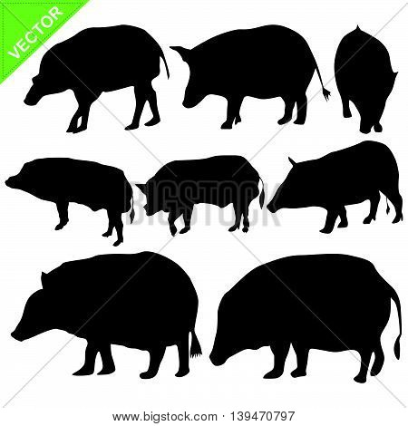 Boar silhouettes vector collections on white color background