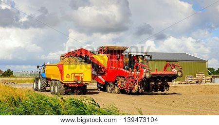 Red colored self-propelled potato harvester loads grubbed potatoes in a yellow tipping trailer coupled with a blue tractor in a Dutch potato field in the summer season.