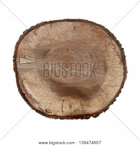 Old alder wooden round timber isolated on white background. Rough cutting roundwood