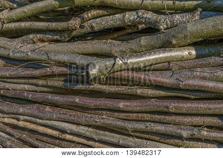 Closeup of stacked wood limb outdoor at a sunny day